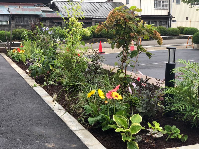 ガーデニングの写真